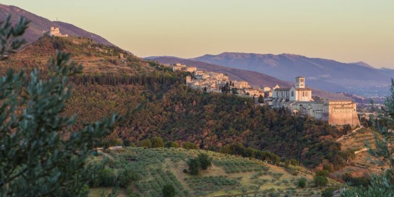 bosco-di-san-francesco-ad-assisi-13-index